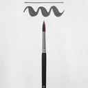 ROC/RAC BRUSH 291/10 FSC
