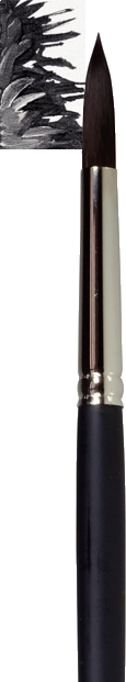 Roc/Rac Brush 291/12 Fsc