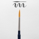 GWC TRAVEL BRUSH FSC#