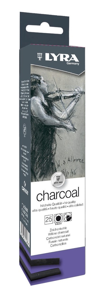 Cardboard Box 25 Charcoal Medium Ø 5-6 Mm