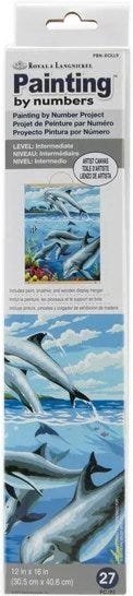 Dolphins Canvas PBN