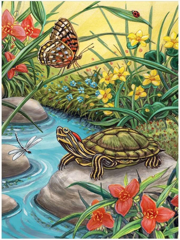 PBN JR SM RED EARED SLIDER
