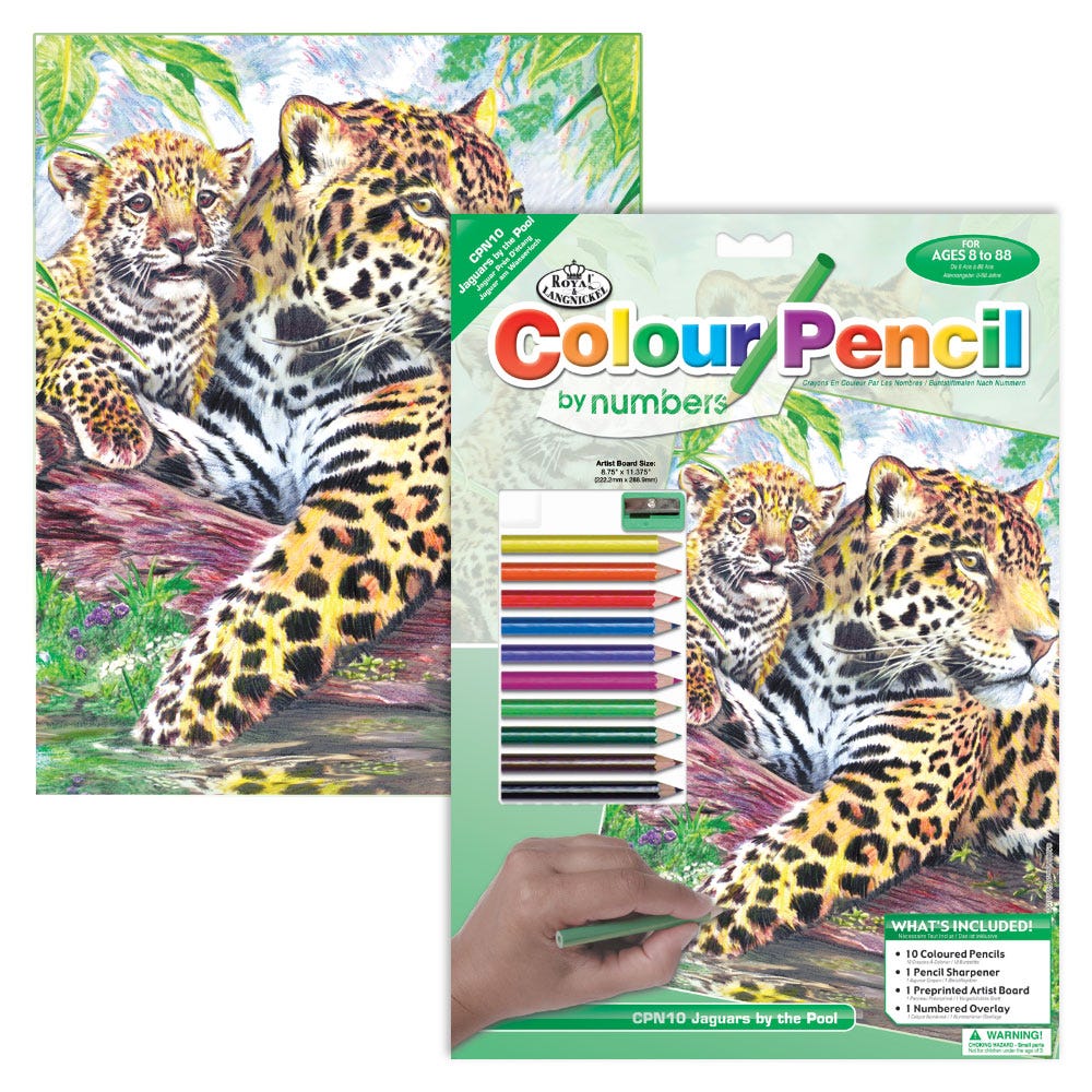 Colour Pencil By # Jaguar By P