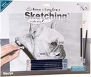 French Bulldog Large Sketching