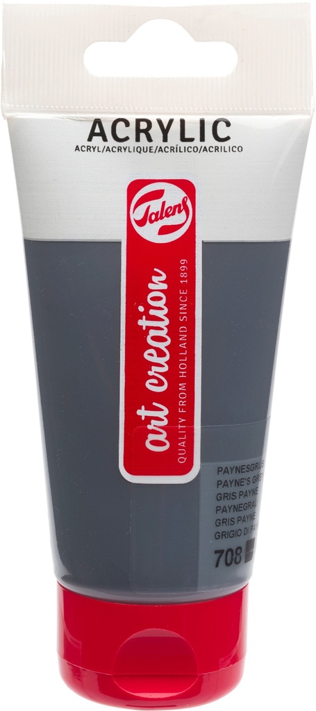TAC ACRYL 75ML PAYNES GREY