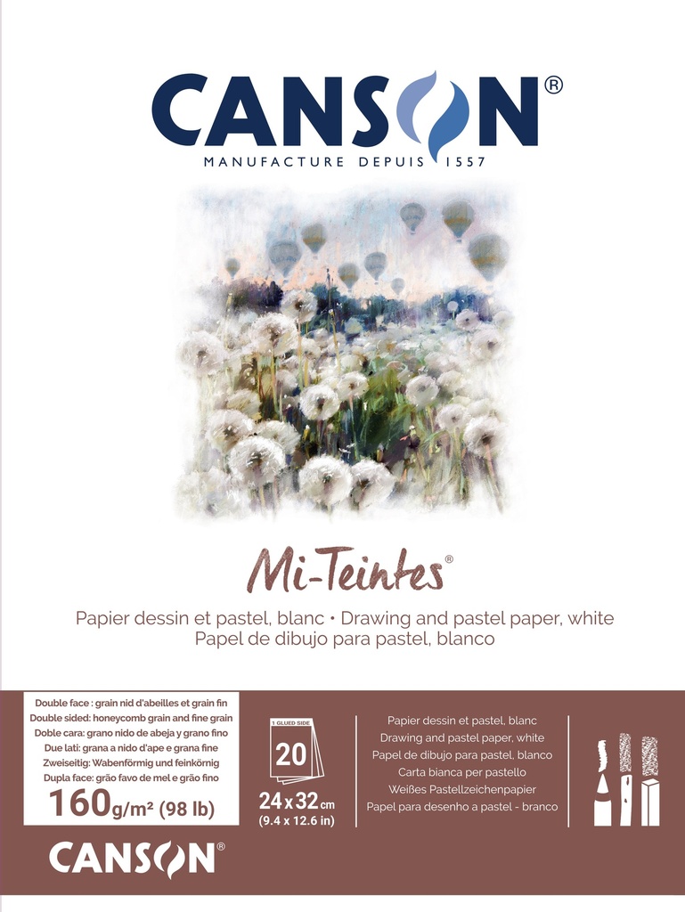 Pad 20SH Mi-Teintes 24X32 160G White 335