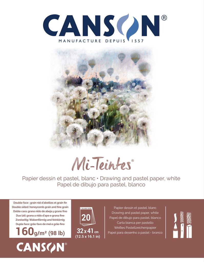 Pad 20SH Mi-Teintes 32X41 160G White 335