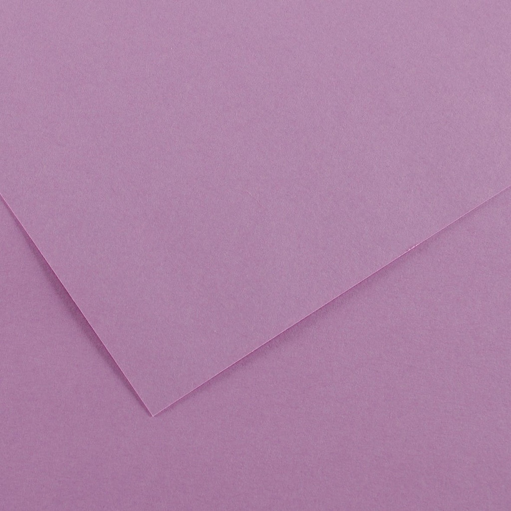 Fl Colorline 50X70 220G Lilas 17
