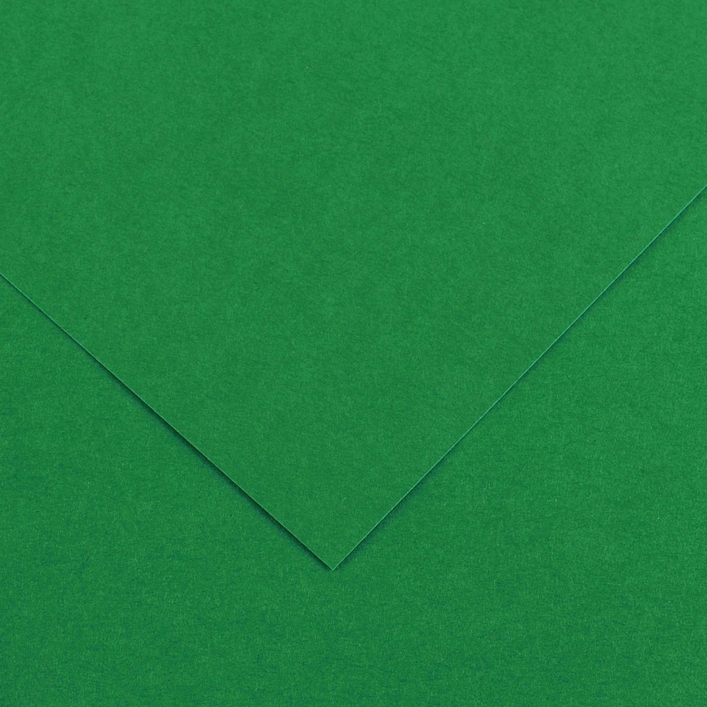 Fl Colorline 50X70 220G Vert Mousse 30