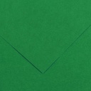 Fl Colorline 50X70 220G Vert Mousse 30