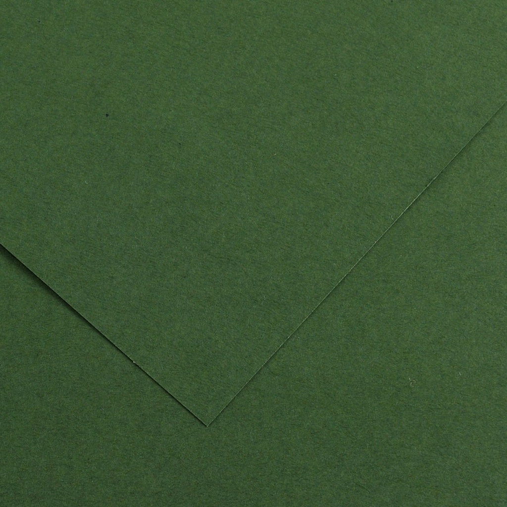 Fl Colorline 50X70 220G Vert Sapin 31