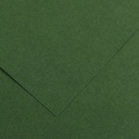 Fl Colorline 50X70 220G Vert Sapin 31