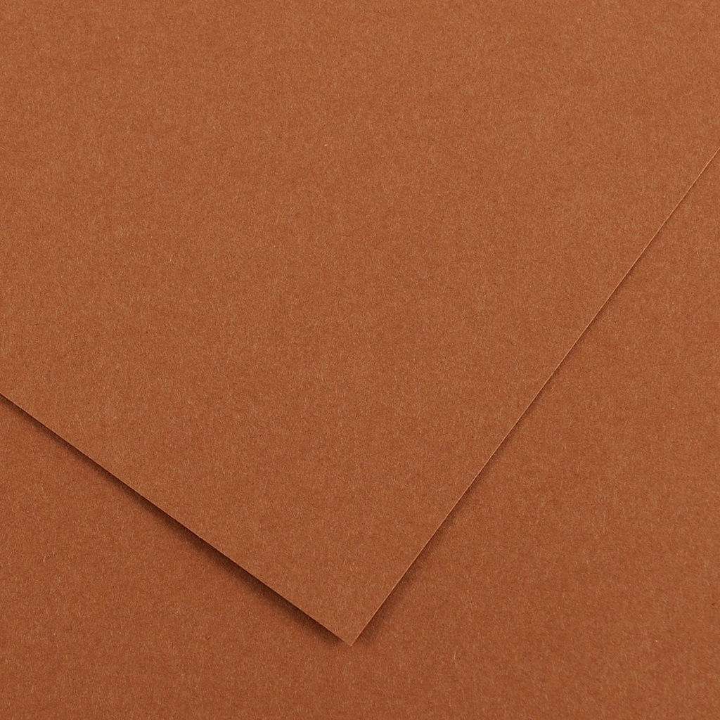 Fl Colorline 50X70 220G Noisette 33