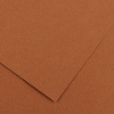 Fl Colorline 50X70 220G Noisette 33