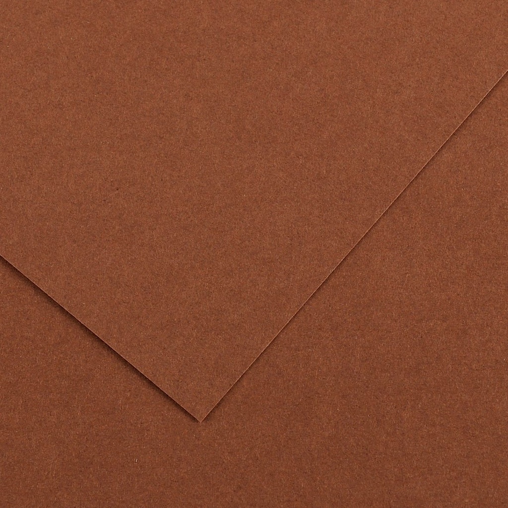 Fl Colorline 50X70 220G Chocolat 34