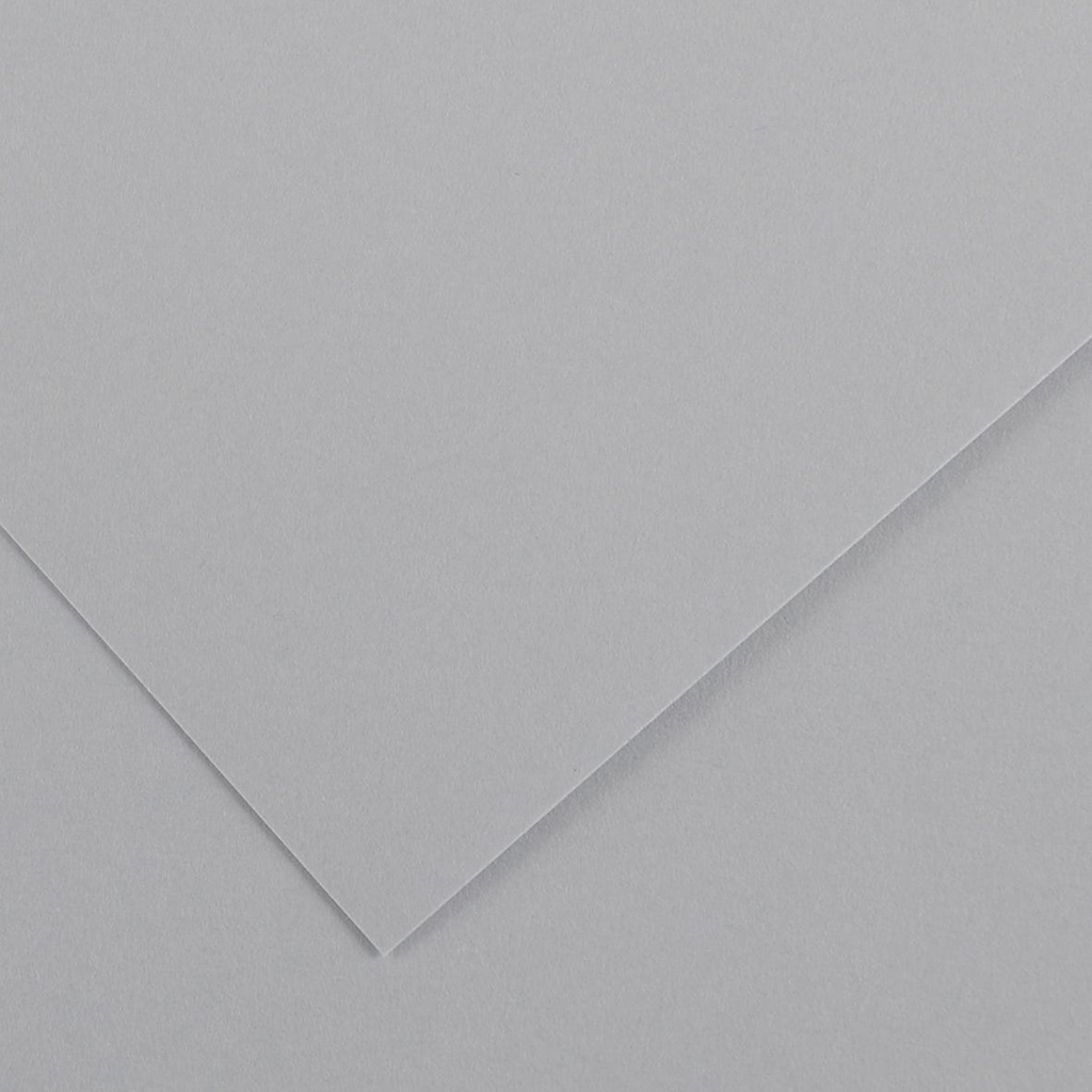 Fl Colorline 50X70 220G Gris Clair 35