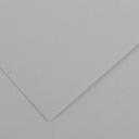 Fl Colorline 50X70 220G Gris Clair 35