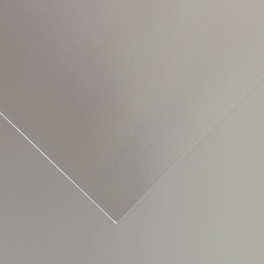 Fl Iris VivaldiÂ® 50X65 280G Argent 40
