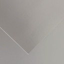 Fl Iris VivaldiÂ® 50X65 280G Argent 40