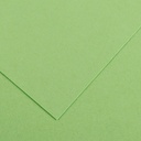 SH Colorline 70X100Cm 220GSM Apple GReen 27
