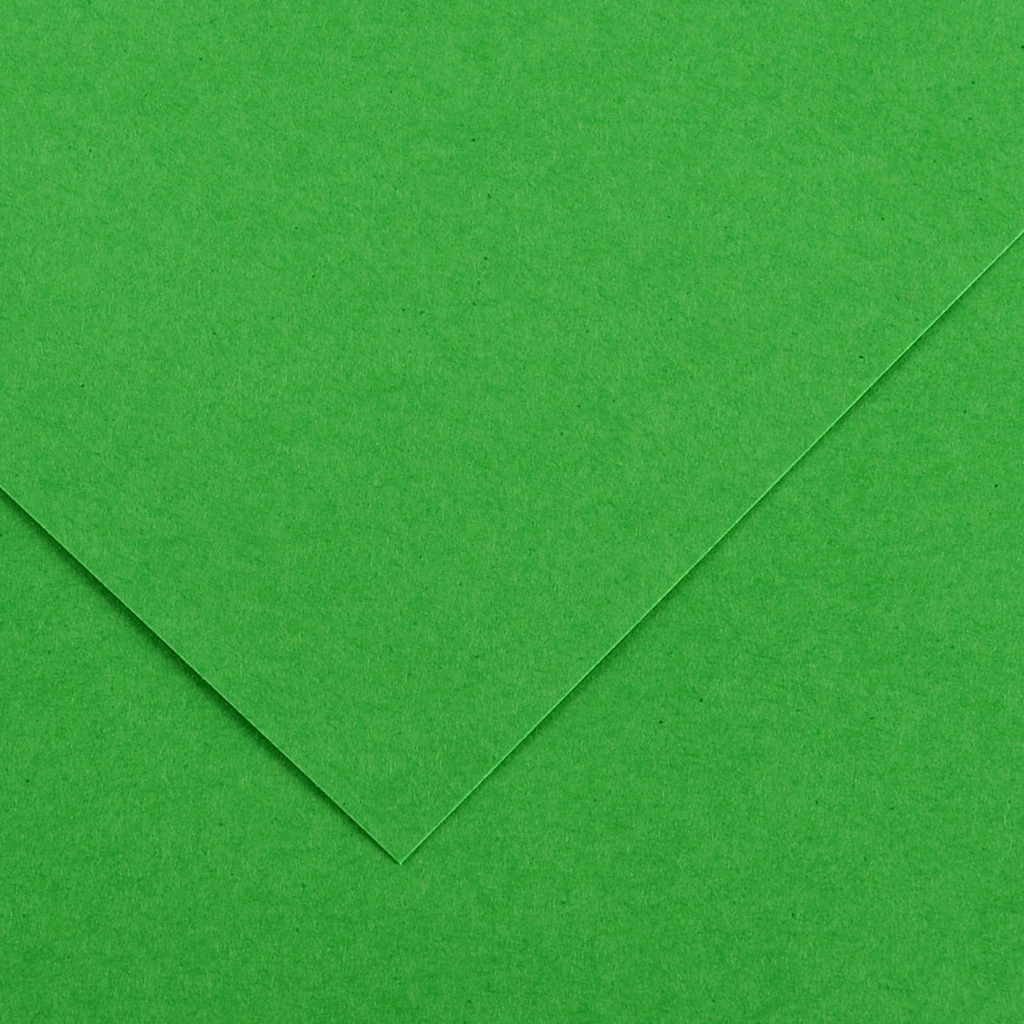 SH Colorline 70X100Cm 220GSM Bright GReen 29
