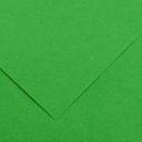 SH Colorline 70X100Cm 220GSM Bright GReen 29