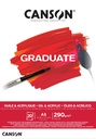 Pad Canson GRaduate Oil & Acrylic A5 290GSM 20SH