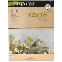 Oil & Acrylic Pad 300G 12X16" 10Sh