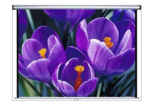 Screen Projector Manual Mobile With 5 Caster   1.5 m X 1.5 m White