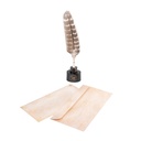 Set Boligrafo Pluma Y Cartas Harry Potter