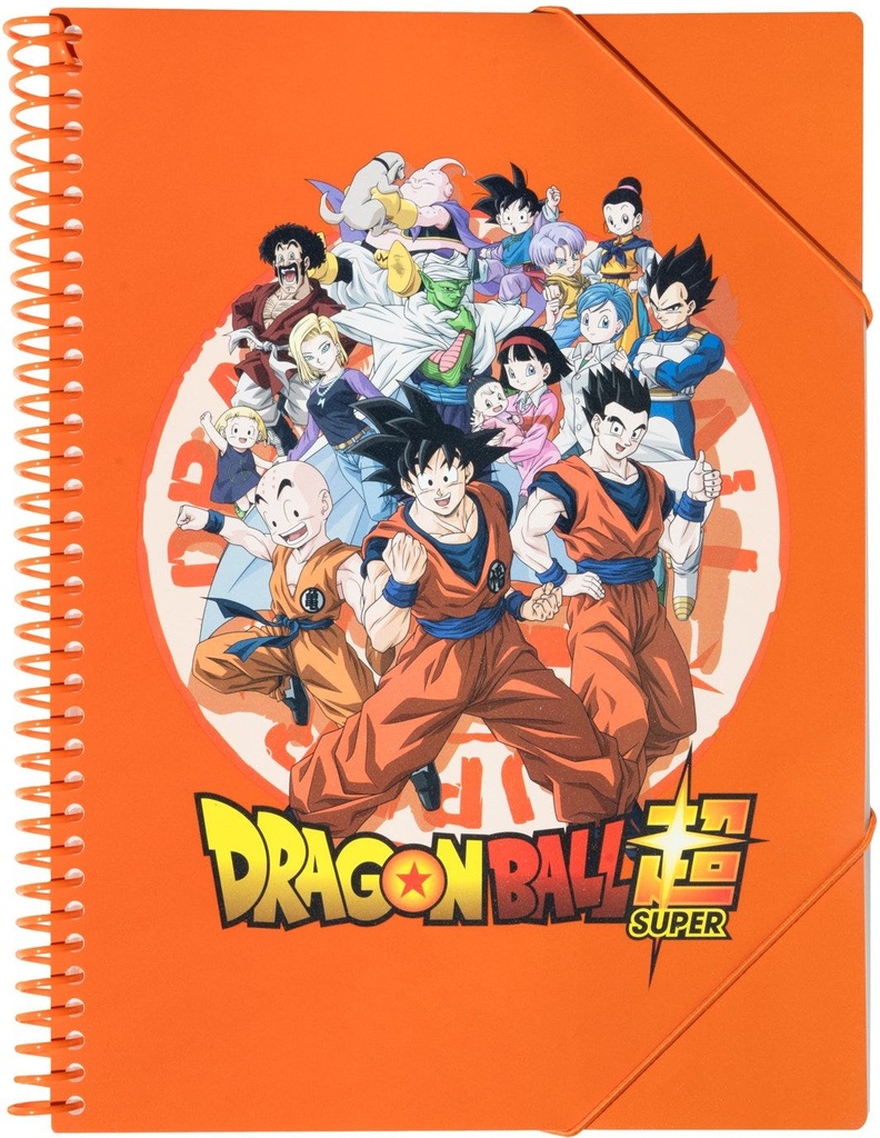 Dragon Ball A4 Presentation Display Book