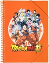 DRAGON BALL A4 PRESENTATION DISPLAY BOOK