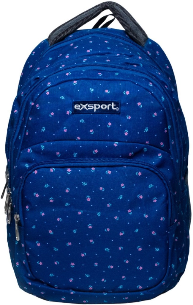 Exsport Printed 2 Backpack Multiple Compartment 2