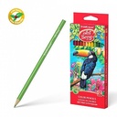 Triangular Color Pencils Artberry Set Of 24 Colors