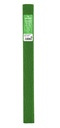 Crepe Paper 50X250CM/30GSM STD Roll Green 21 Canson