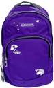 Backpack 2 Multiple Compartment 17.5in, ICON (Plain)-Exsport