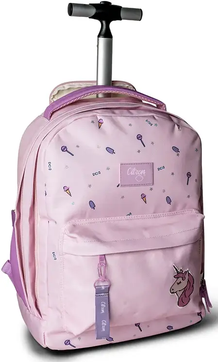 Trolley Bag-C6290361061237