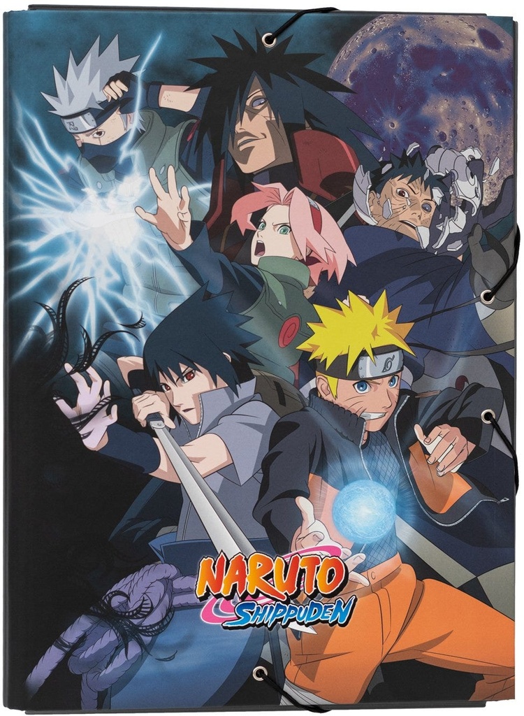 NARUTO SHIPPUDEN FILE FOLDER