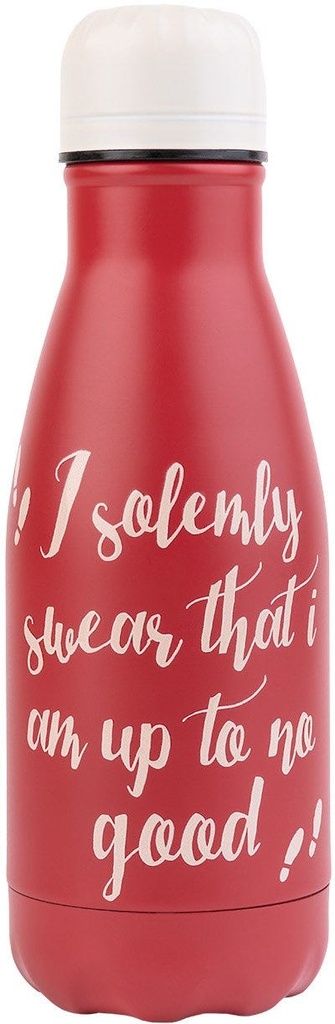Harry Potter Hot&Cold 260Ml Metal Bottle