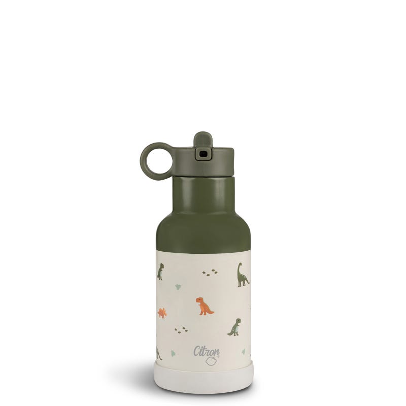 Stainless Steel Water Bottle 350ml- Dino