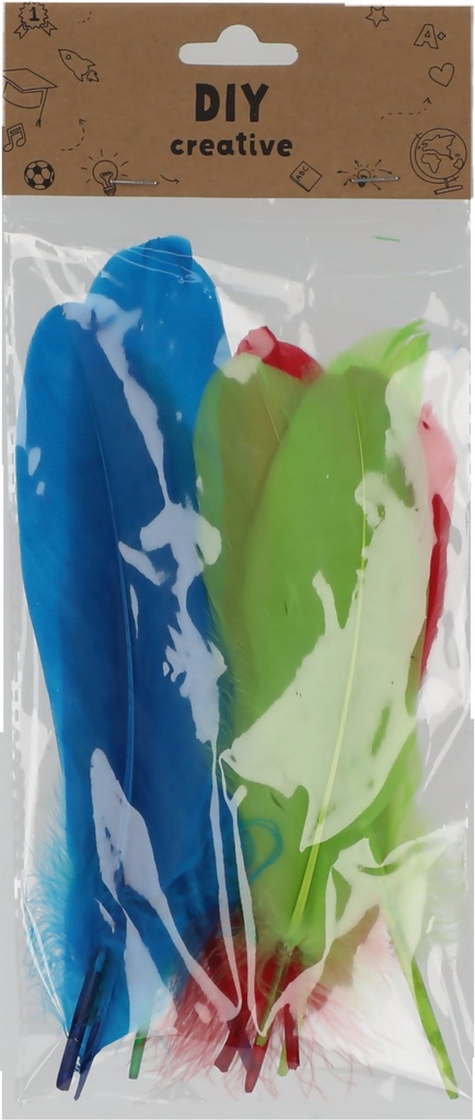 Feathers set of 12 pcs, Size 20cm, Colorful