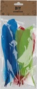 Feathers set of 12 pcs, Size 20cm, Colorful