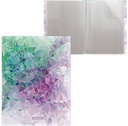 Book Display 30 Pocket Top Loaded Polypropolene A4 Colorful, Erichkrause Violet Dynamique