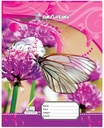Exercises Book W/PVC 10Mm Square Ruling 100'S 22 X 16 Cms