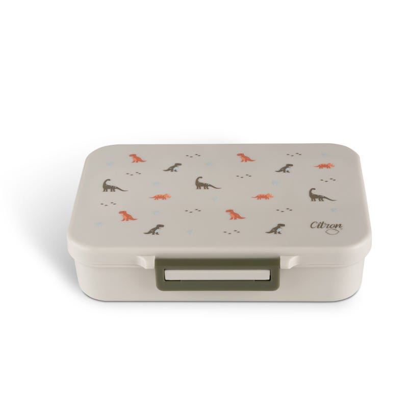 2022 Tritan Lunchbox-C6297001196205