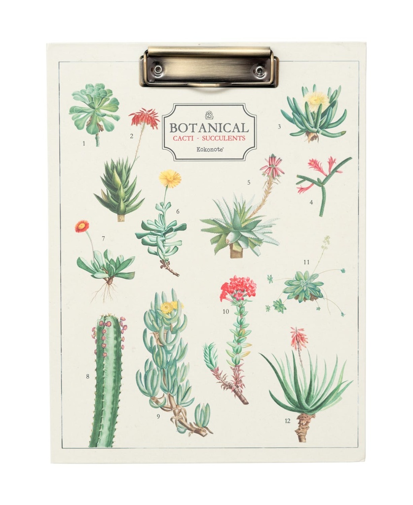 Folder With Clip A4 Botanical Cacti