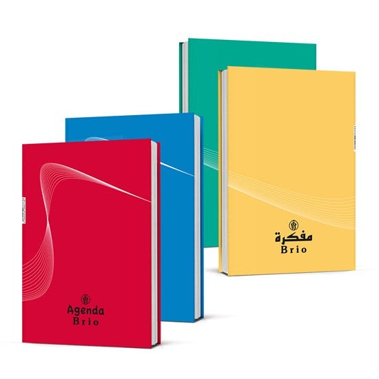 School Diaries Hard Cover 14x21 cm Brio 60gsm ass