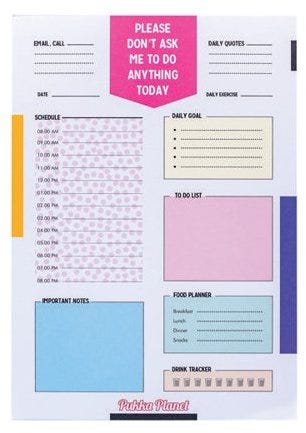 Pukka Planet B5 Daily Planner (Box 24)
