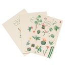 Notebooks A5 Pack Of 3 Kokonote Botanical Cacti