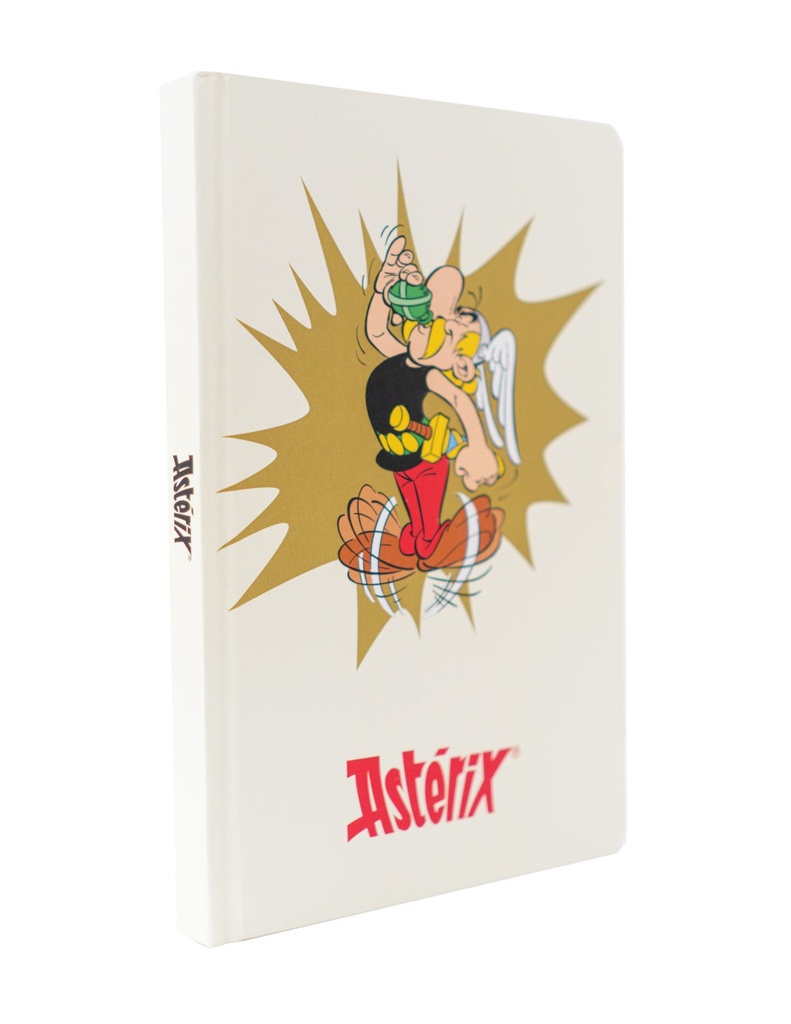 Notebook A5 Premium Asterix Magic Potion